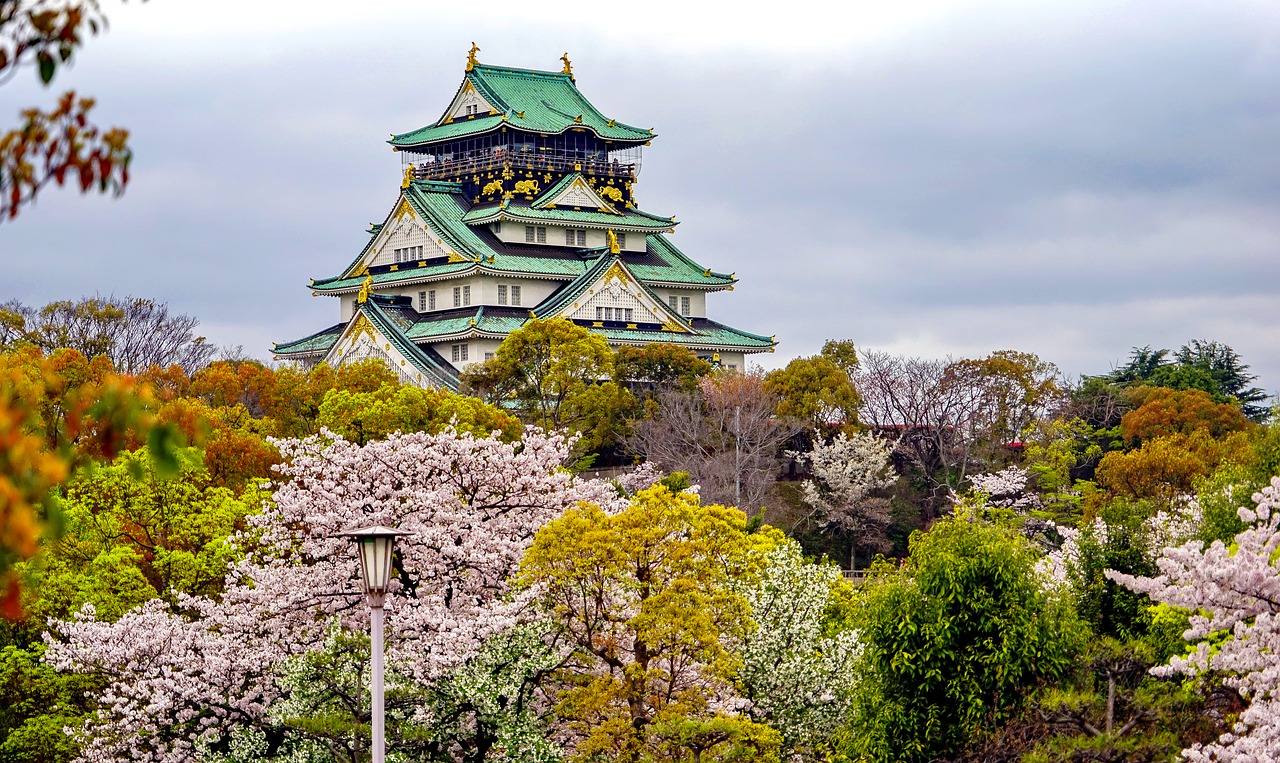 鹤壁追寻梦想的起点：为何选择高考后去日本留学？