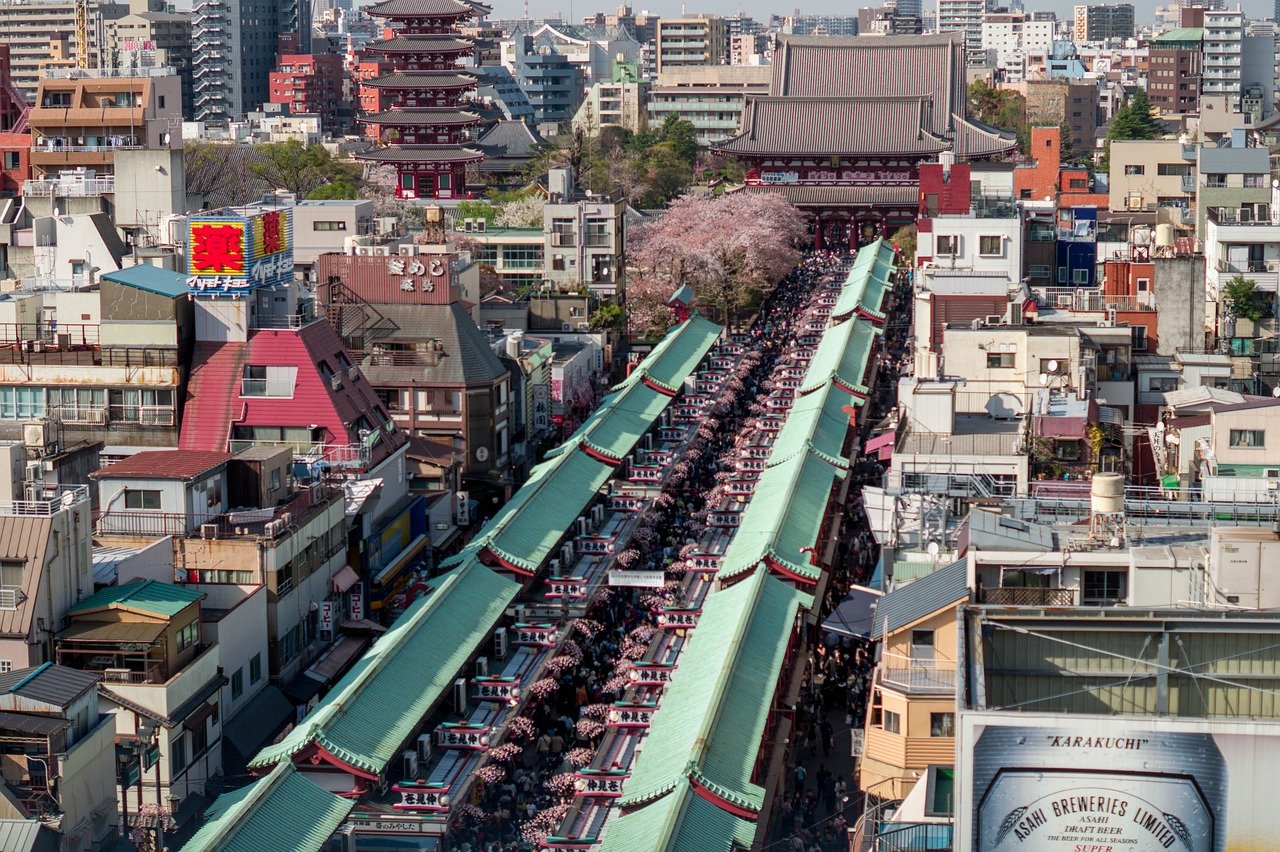 鹤壁高考后的新路径：为何选择去日本留学成就未来？
